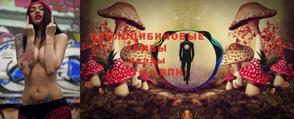 прущие крисы Надым