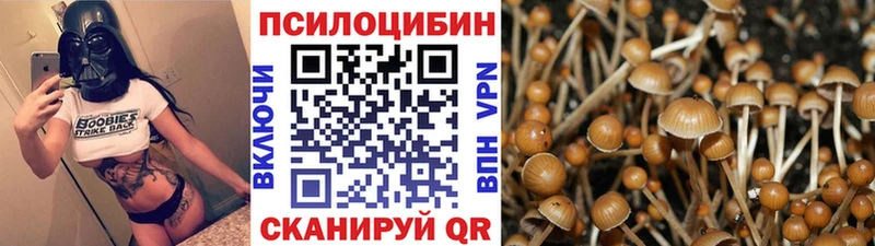 Галлюциногенные грибы ЛСД  купить   mega онион  Суздаль 