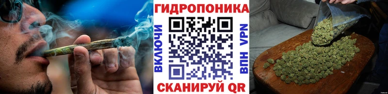 Каннабис сатива Суздаль